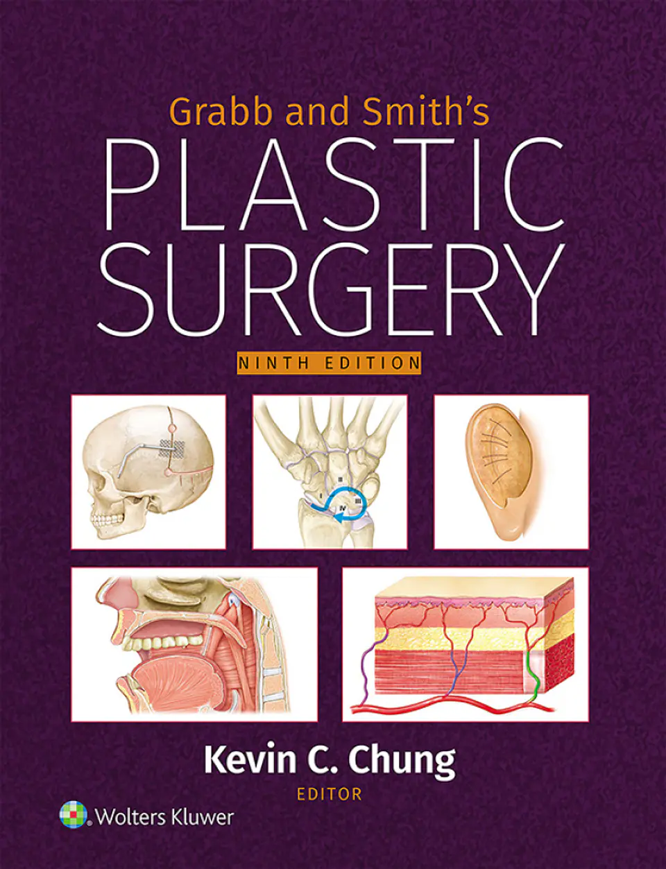  Grabb and Smith's Plastic Surgery 9th Edition  1