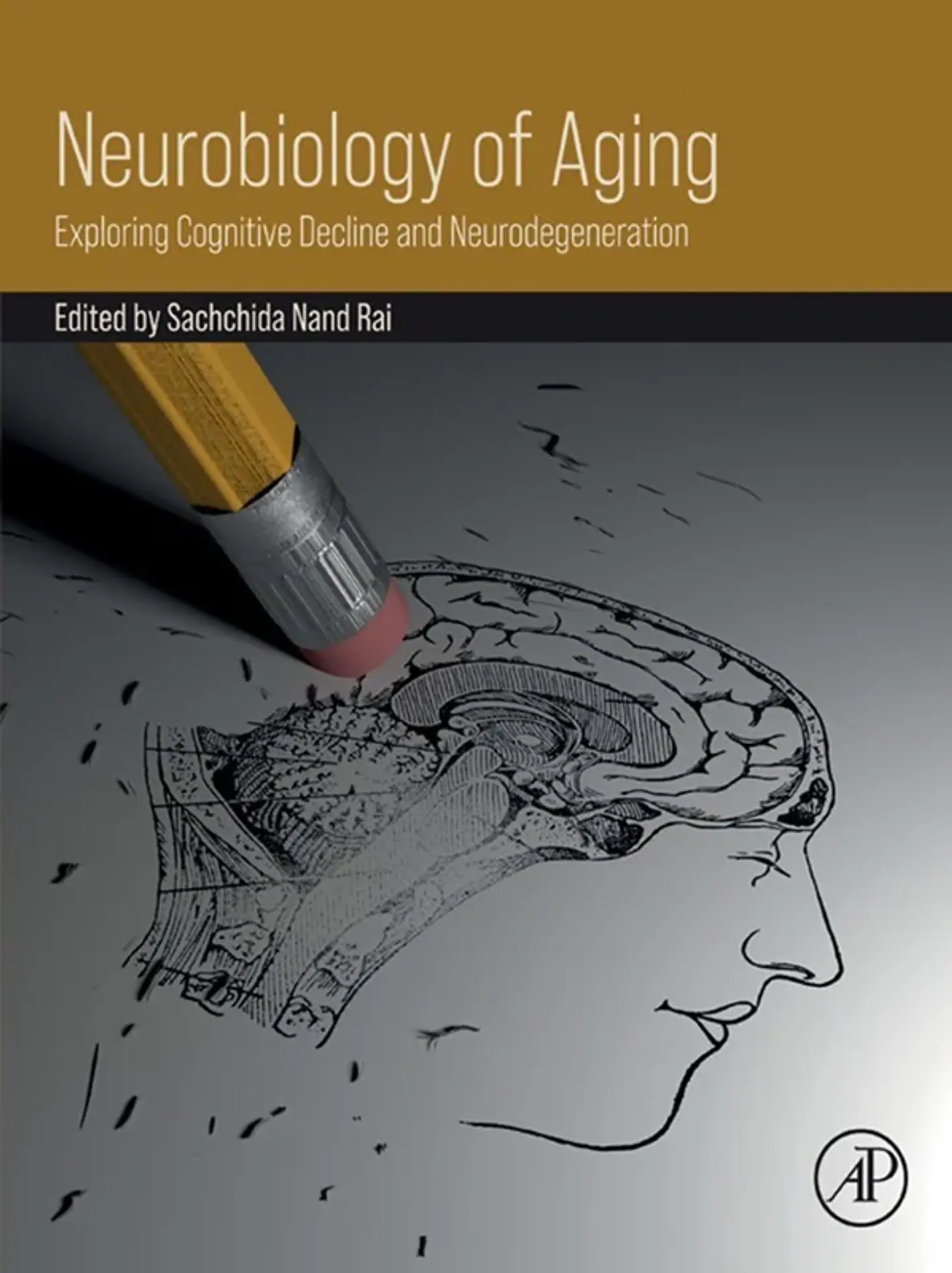 Neurobiology of Aging: Exploring Cognitive Decline and Neurodegeneration 1