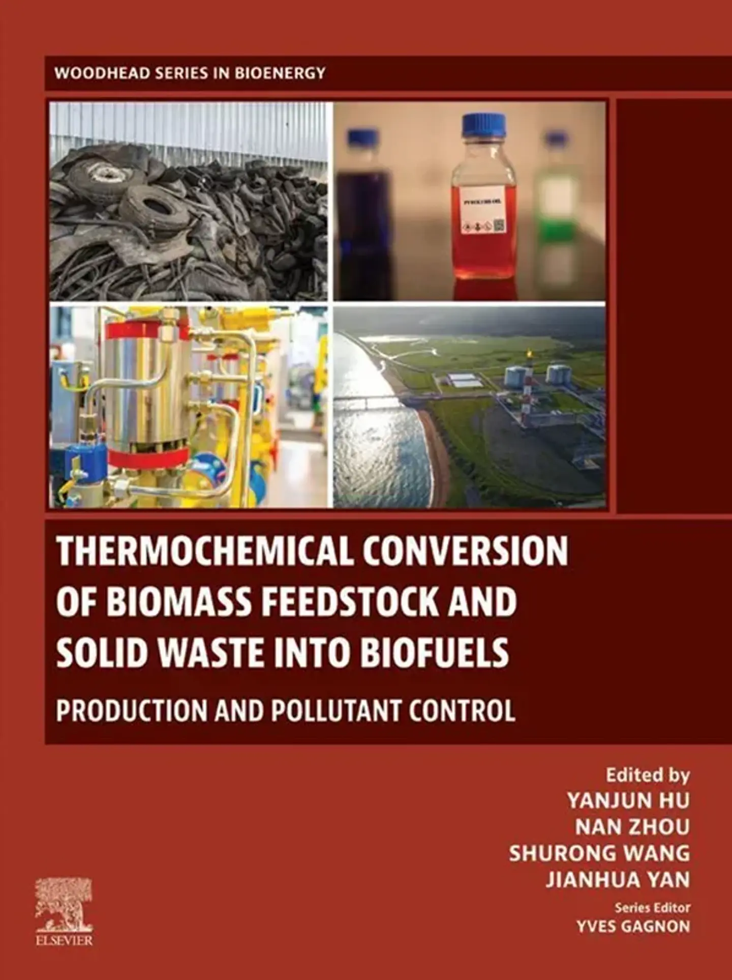 Thermochemical Conversion of Biomass Feedstock and Solid Waste into Biofuels: Production and Pollutant Control 1