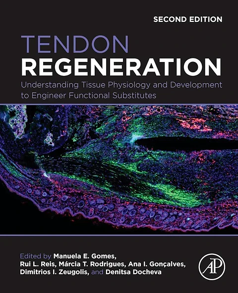 Tendon Regeneration: Understanding Tissue Physiology and Development to Engineer Functional Substitutes 2nd Edition
