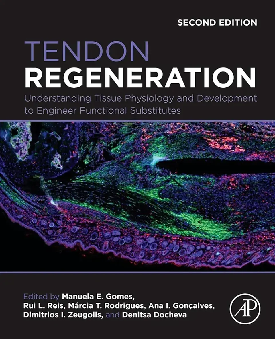 Tendon Regeneration: Understanding Tissue Physiology and Development to Engineer Functional Substitutes 2nd Edition 1