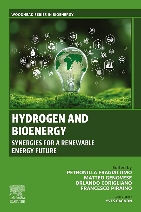 Hydrogen and Bioenergy: Synergies for a Renewable Energy Future
