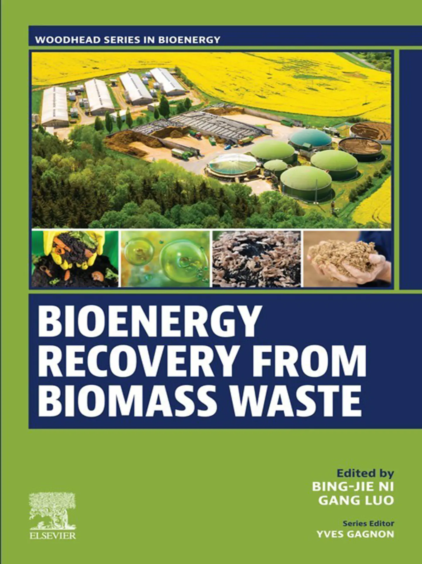 Bioenergy Recovery from Biomass Waste 1