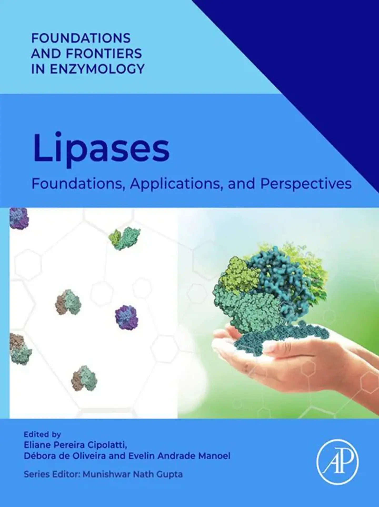 Lipases: Foundations, Applications, and Perspectives 1