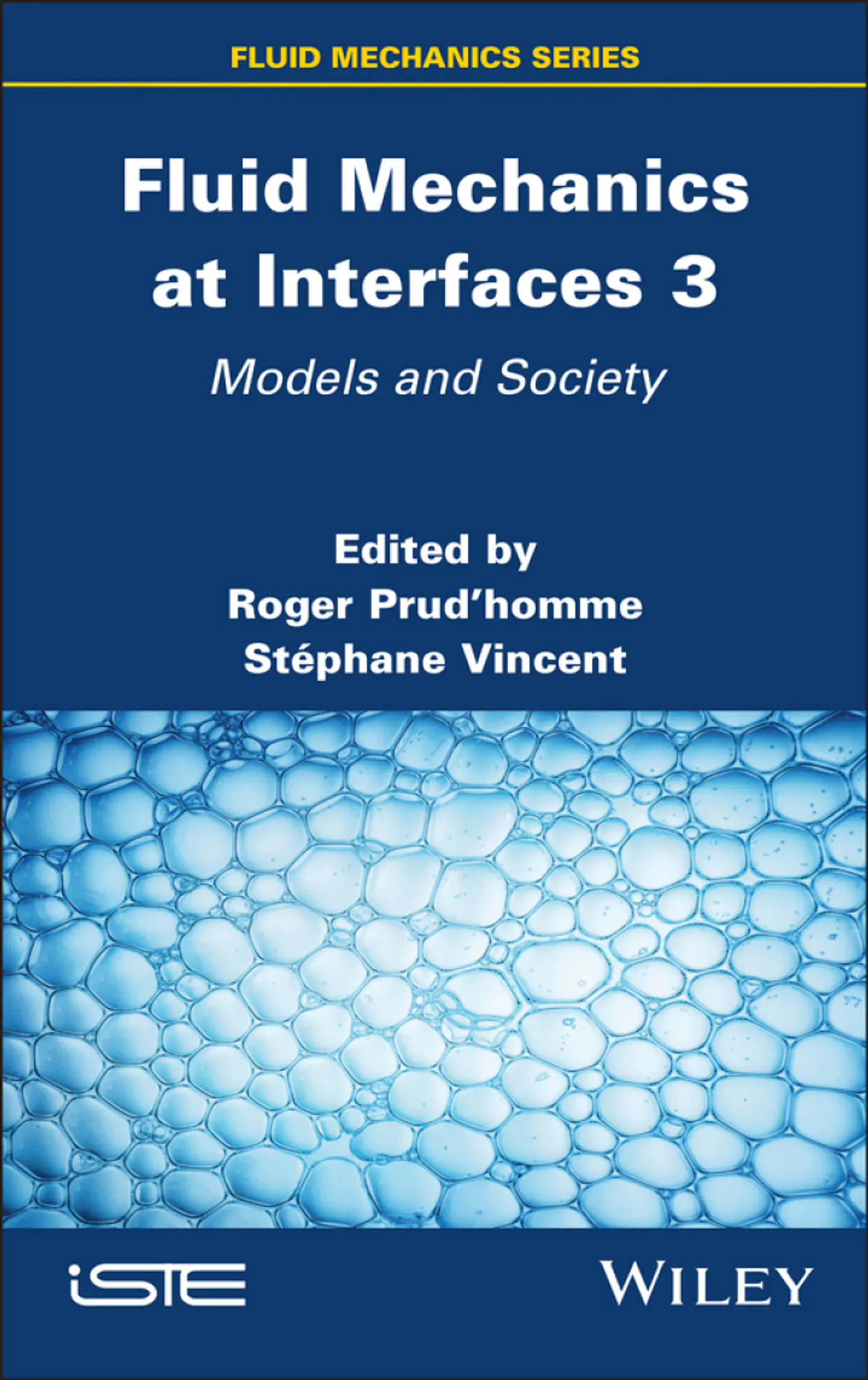 Fluid Mechanics at Interfaces 3: Models and Society 1