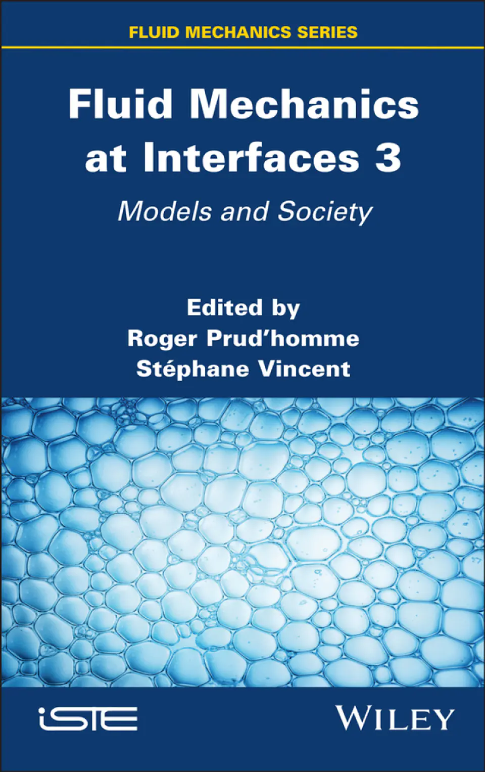 Fluid Mechanics at Interfaces 3: Models and Society 1