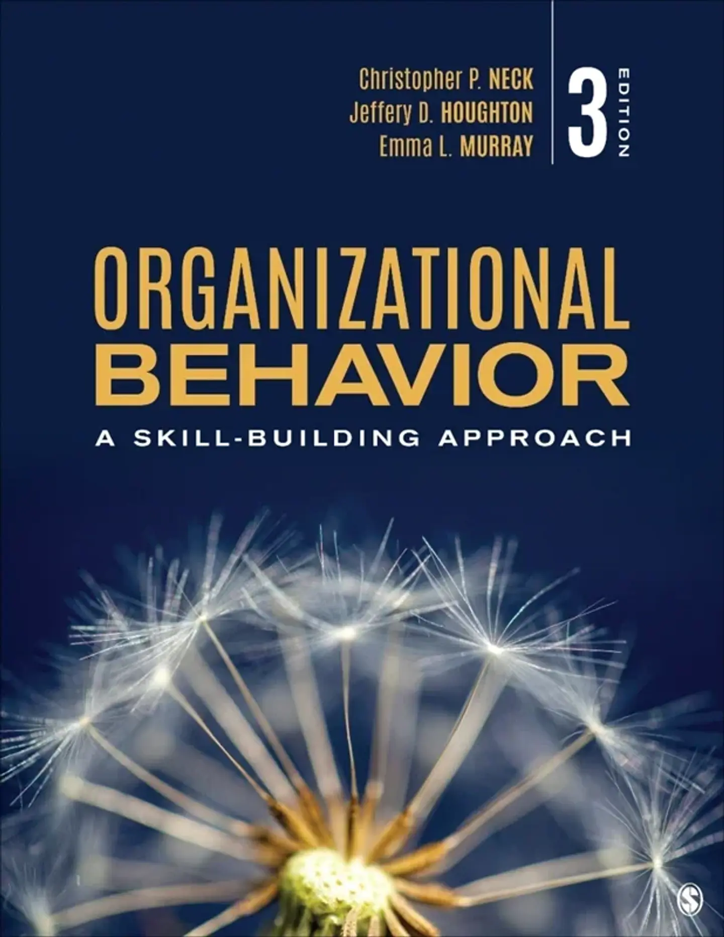 Organizational Behavior: A Skill-Building Approach 3rd Edition 1