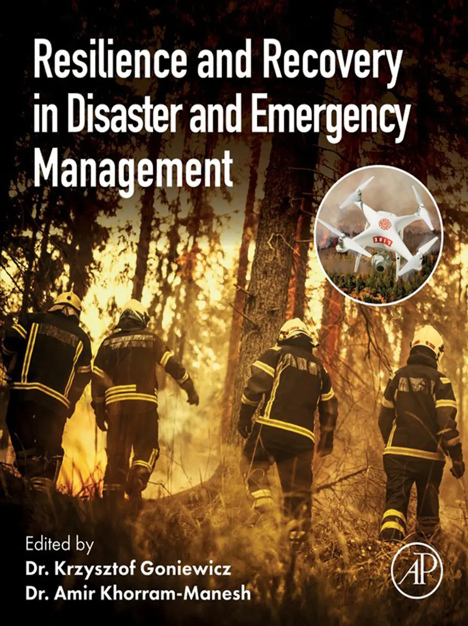 Resilience and Recovery in Disaster and Emergency Management 1