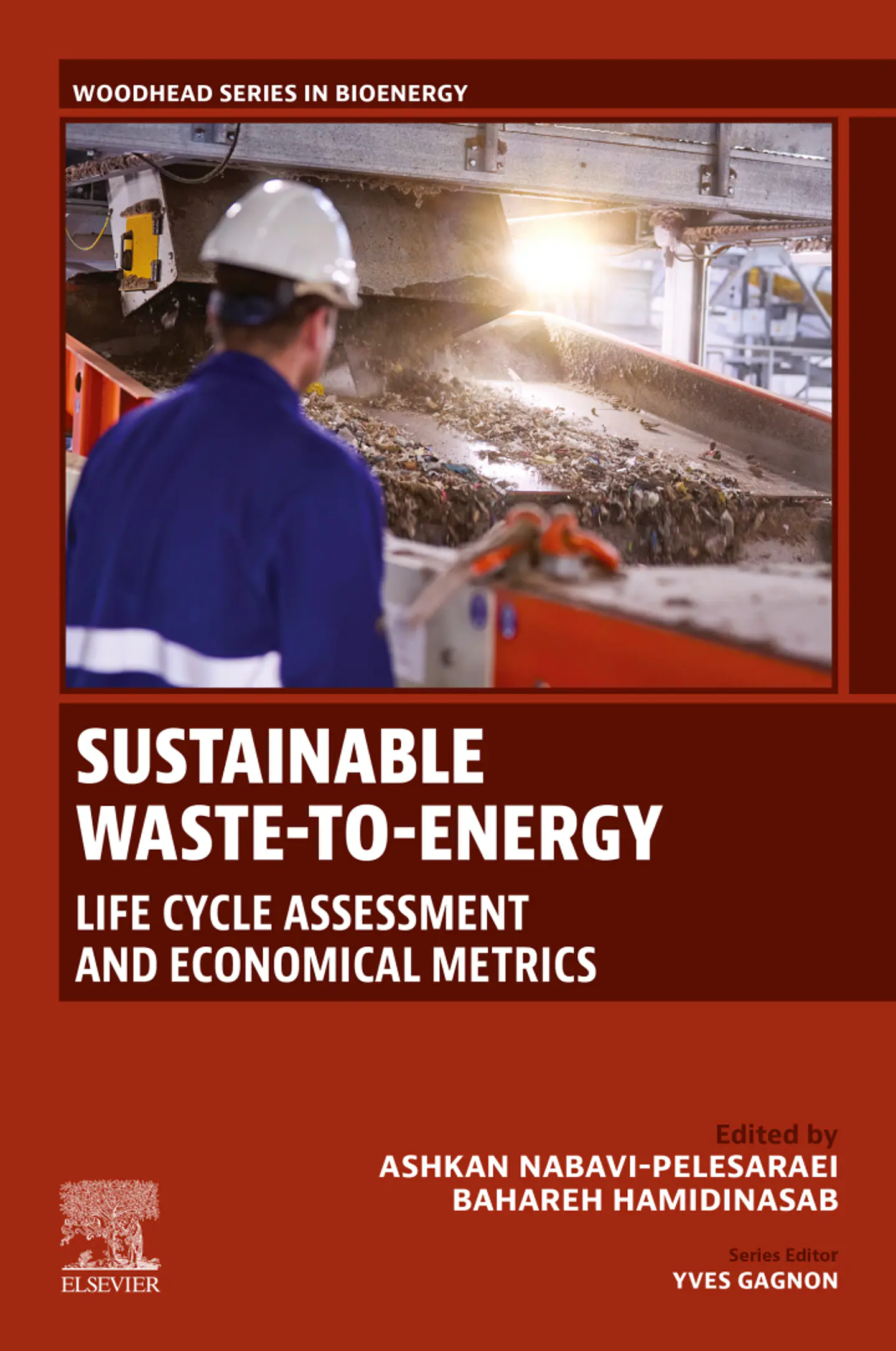 Sustainable Waste-to-Energy: Life Cycle Assessment and Economical Metrics 1