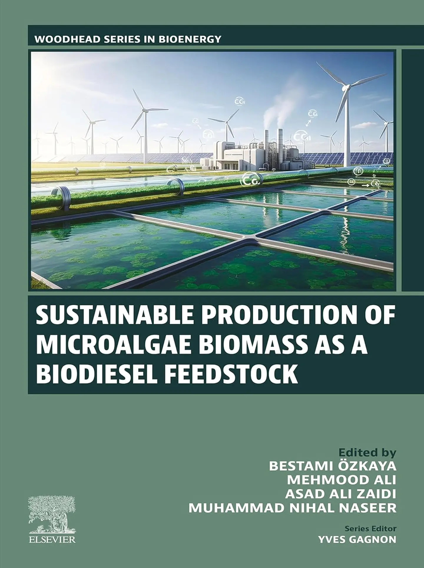 Sustainable Production of Microalgae Biomass as a Biodiesel Feedstock 1