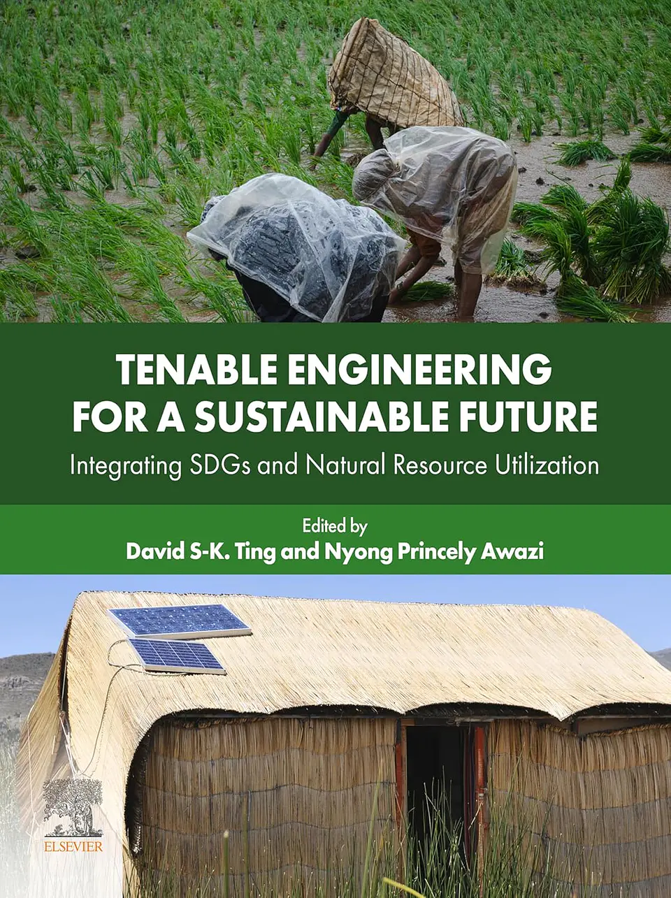 Tenable Engineering for a Sustainable Future: Integrating SDGs and Natural Resource Utilization 1