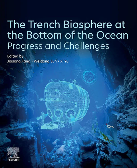 The Trench Biosphere at the Bottom of the Ocean: Progress and Challenges