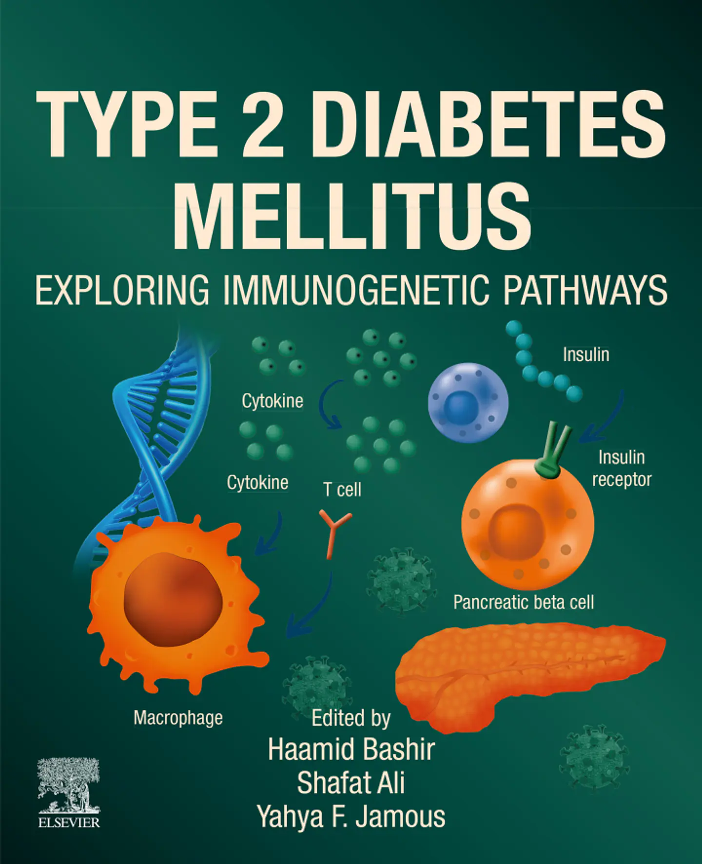 Type 2 Diabetes Mellitus: Exploring Immunogenetic Pathways 1