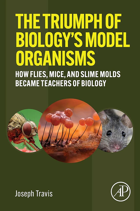 The Triumph of Biology's Model Organisms: How Flies, Mice, and Slime Molds Became Teachers of Biology