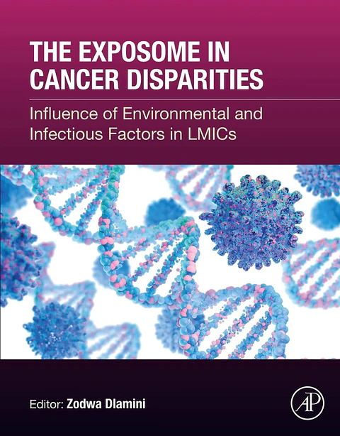 The Exposome in Cancer Disparities: Influence of Environmental and Infectious Factors in LMICs