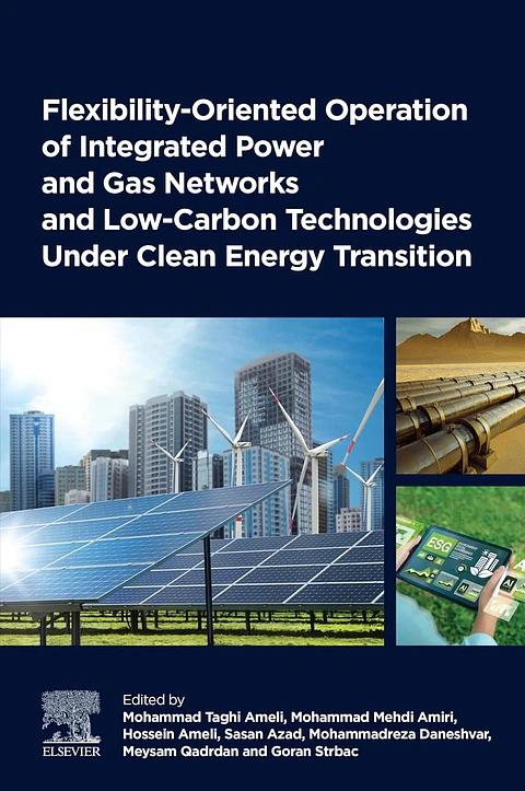 Flexibility-Oriented Operation of Integrated Power and Gas Networks and Low-Carbon Technologies Under Clean Energy Transition