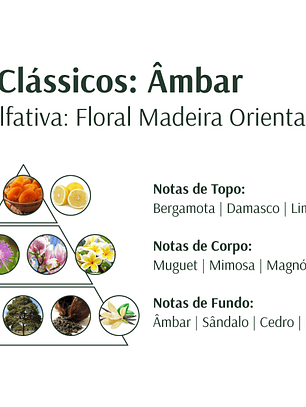 Sabonete em Barra Âmbar 120g