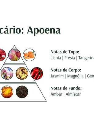 Deo Colônia Apoena 100ml Relicário