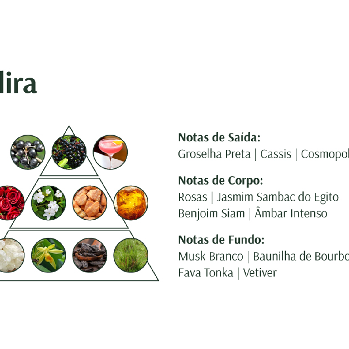 Deo Parfum Alira 100ml 4