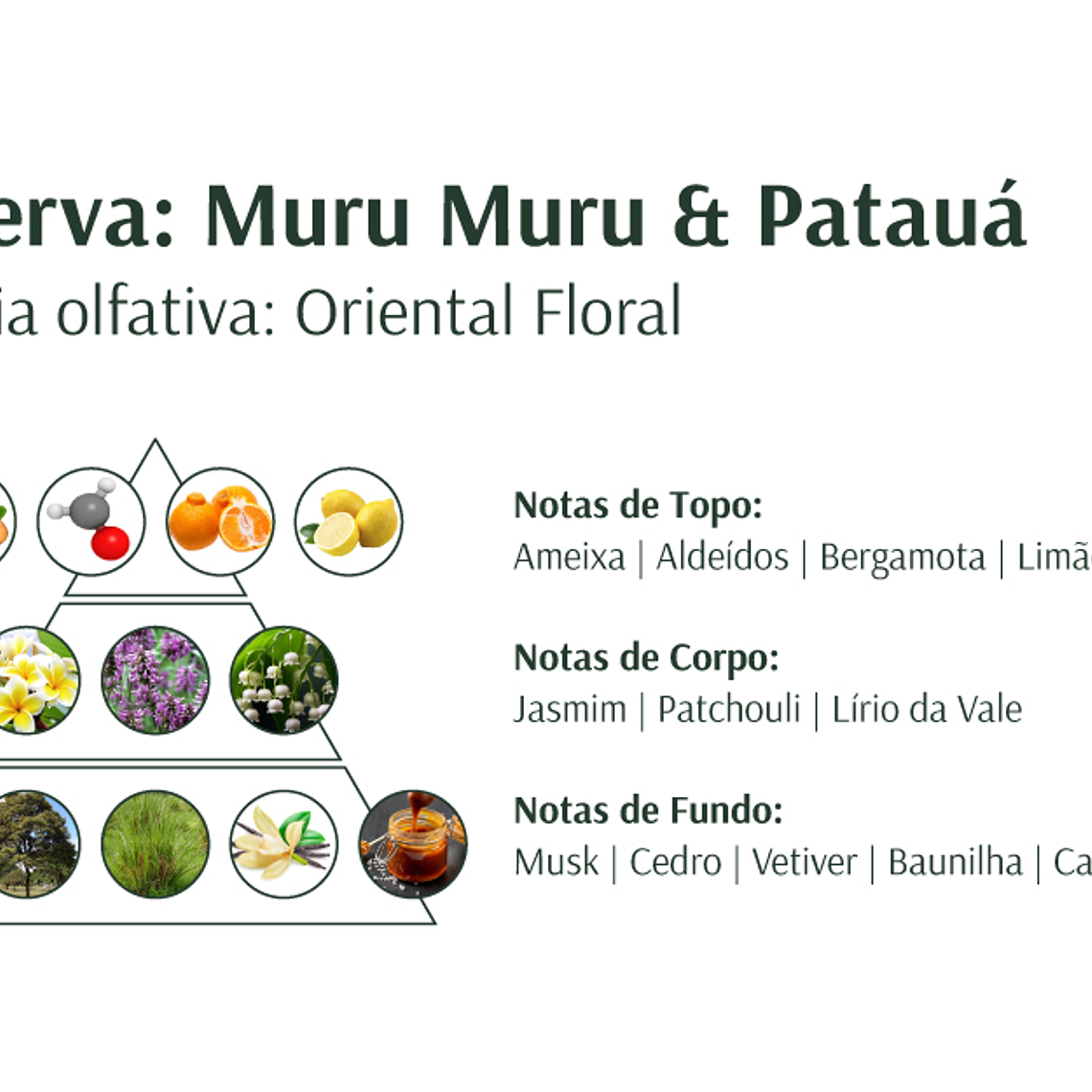 Xampu Muru Muru & Patauá 300ml 3