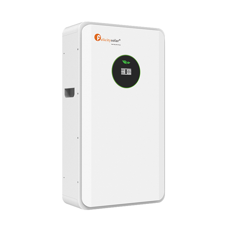 Batería LiFePo4 5 kWh 51,2V 1