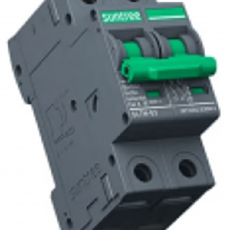 Protección termomagnética CC 20A 1