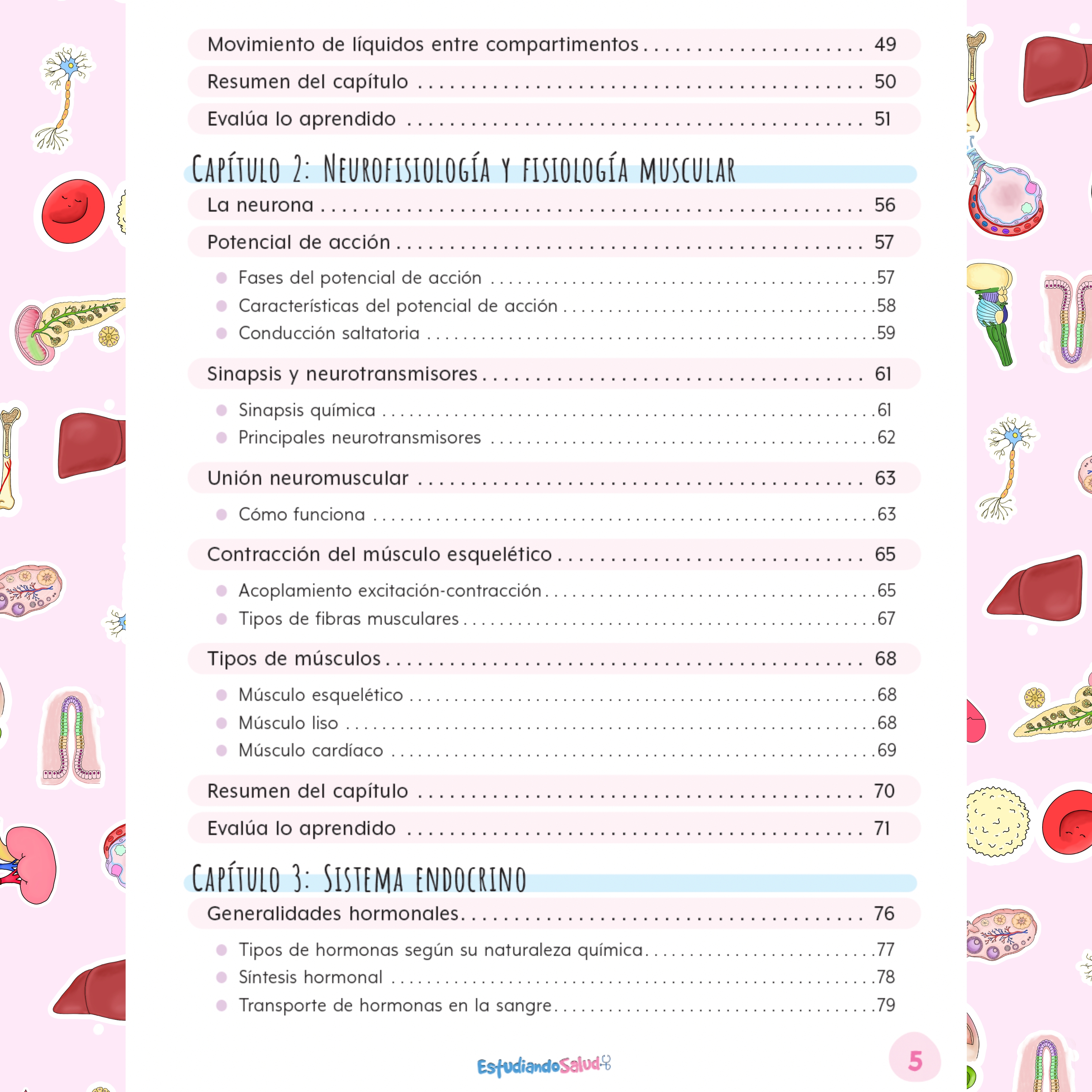 Libreta Fisiología — libreta de bolsillo para estudiantes de enfermería | Enfermera Rosada (4)