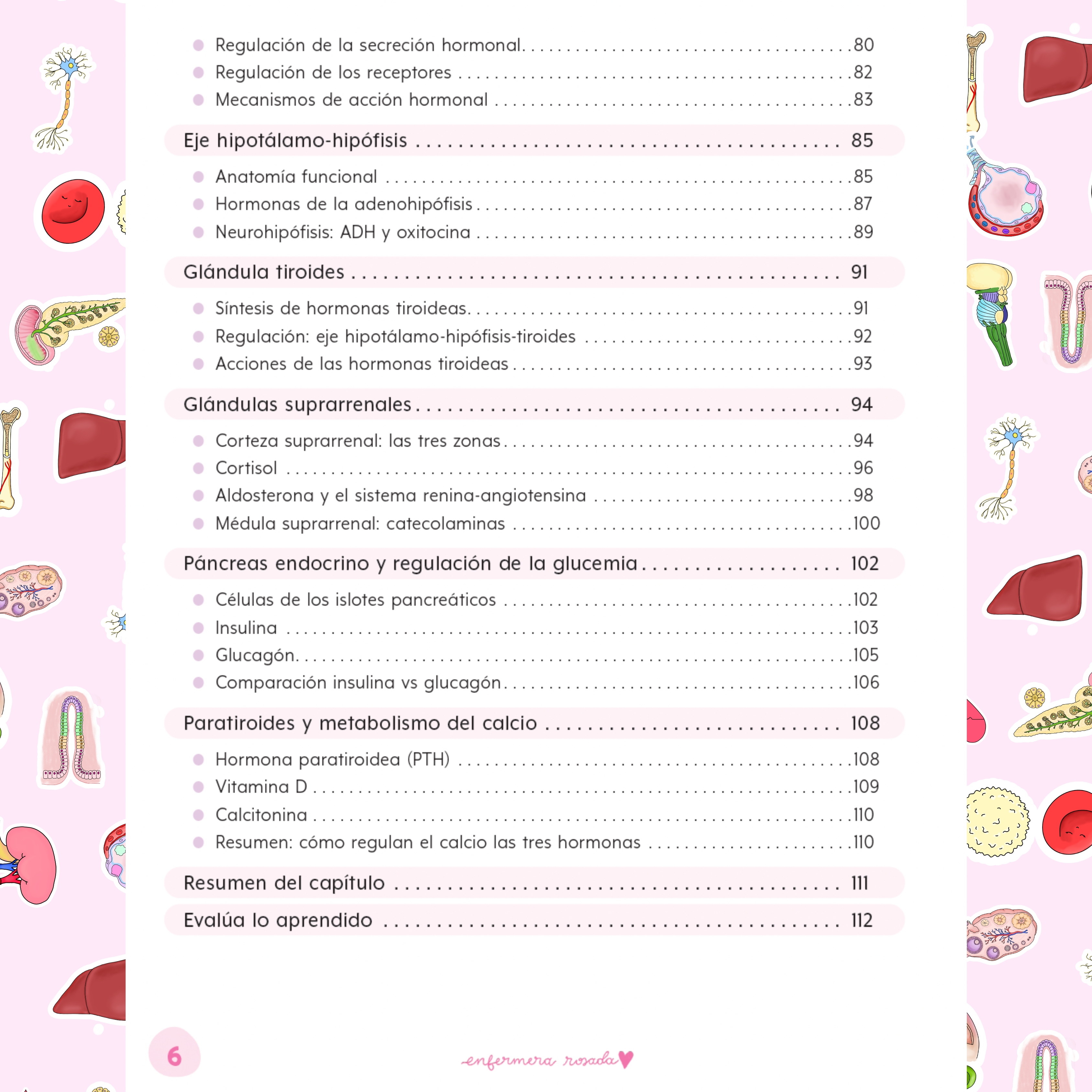Libreta Fisiología — libreta de bolsillo para estudiantes de enfermería | Enfermera Rosada (5)