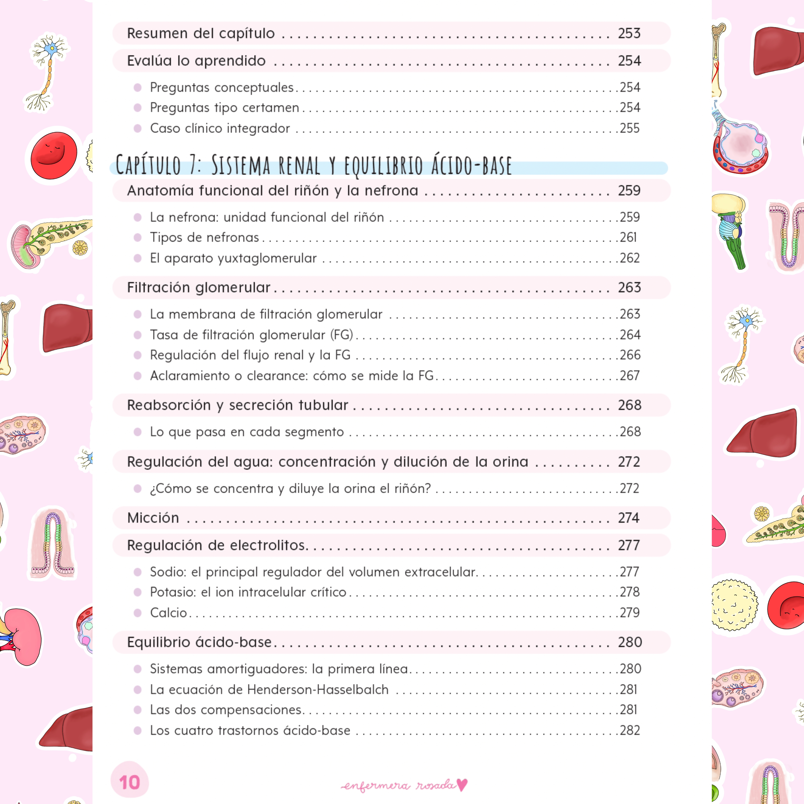 Libreta Fisiología — libreta de bolsillo para estudiantes de enfermería | Enfermera Rosada (9)