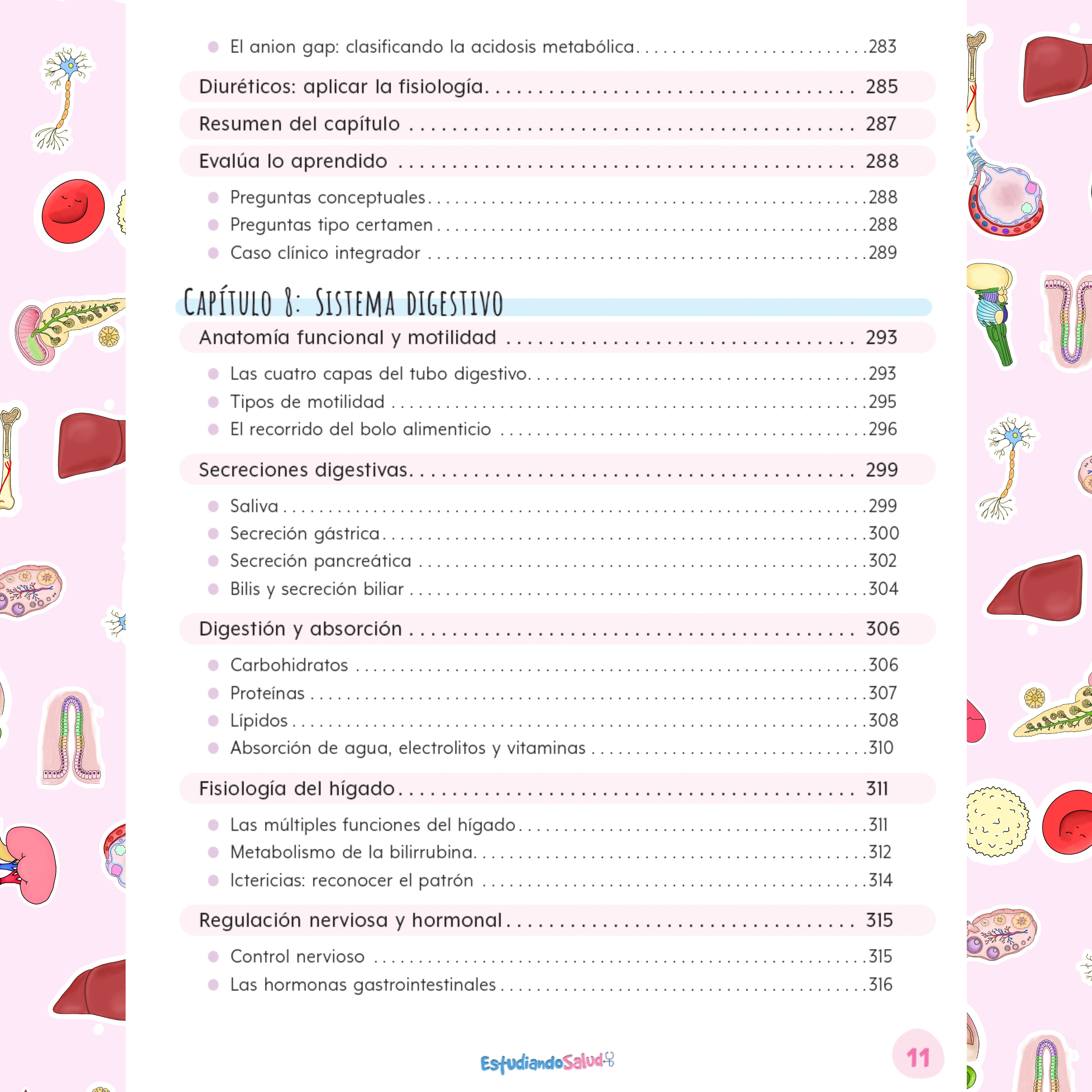 Libreta Fisiología — libreta de bolsillo para estudiantes de enfermería | Enfermera Rosada (10)