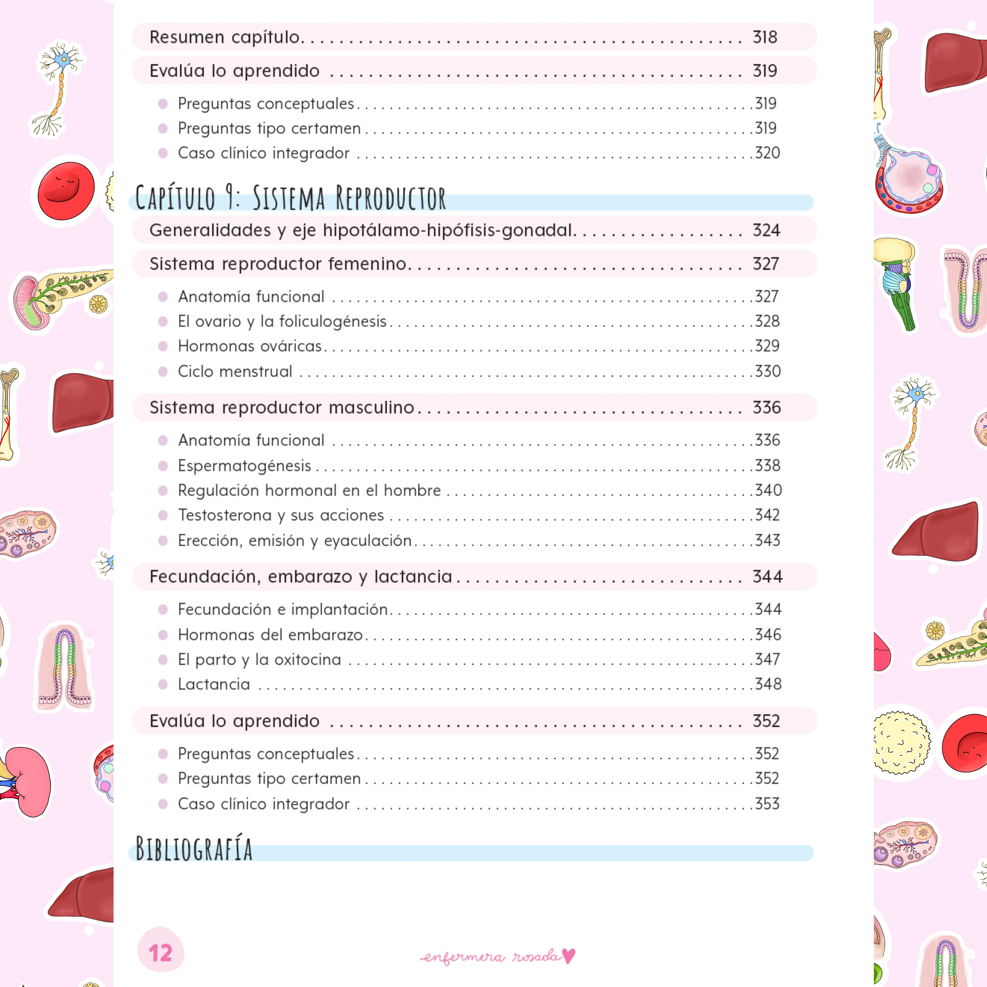 Libreta Fisiología — libreta de bolsillo para estudiantes de enfermería | Enfermera Rosada (11)