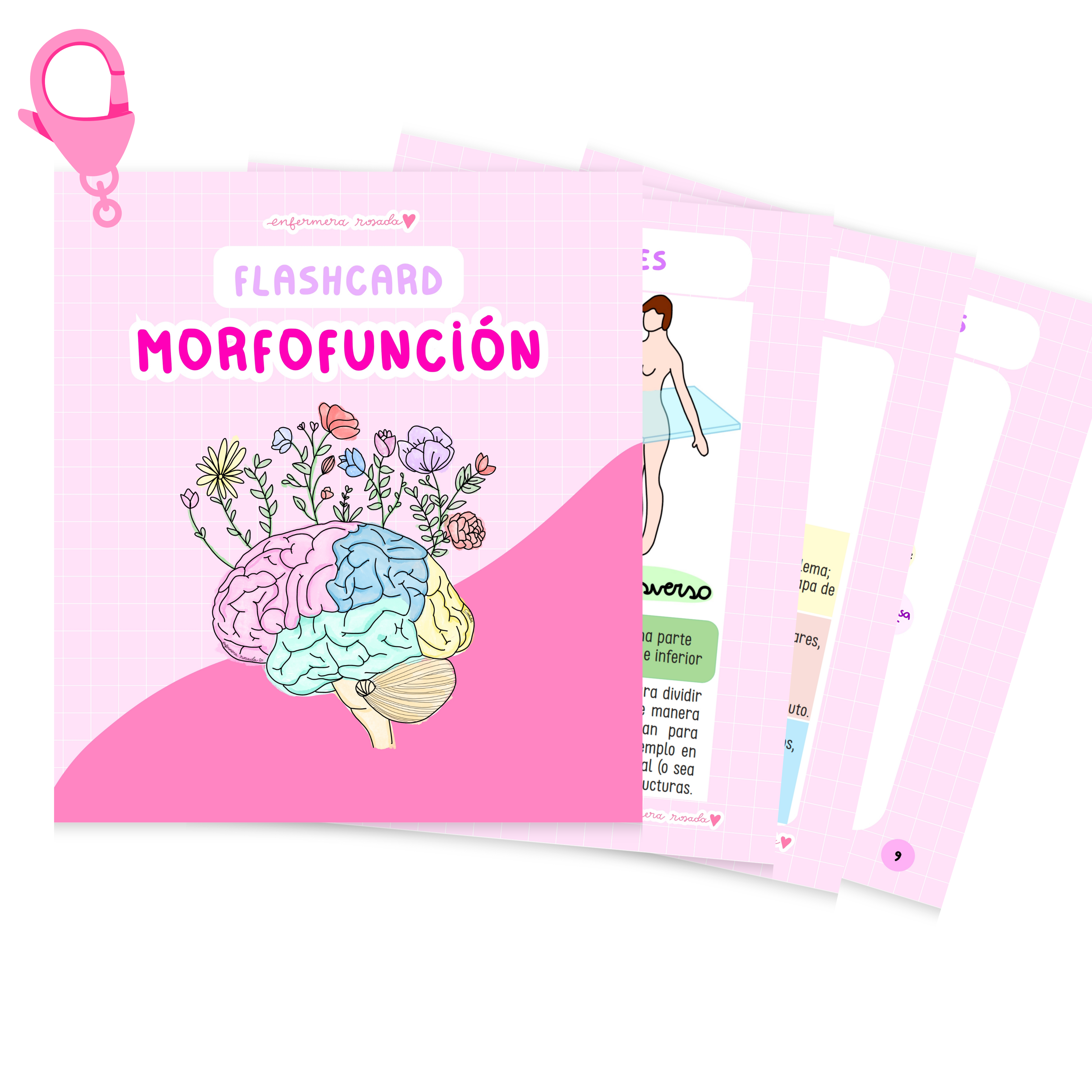 Flashcards Morfofunción — libreta de bolsillo para estudiantes de enfermería | Enfermera Rosada (1)
