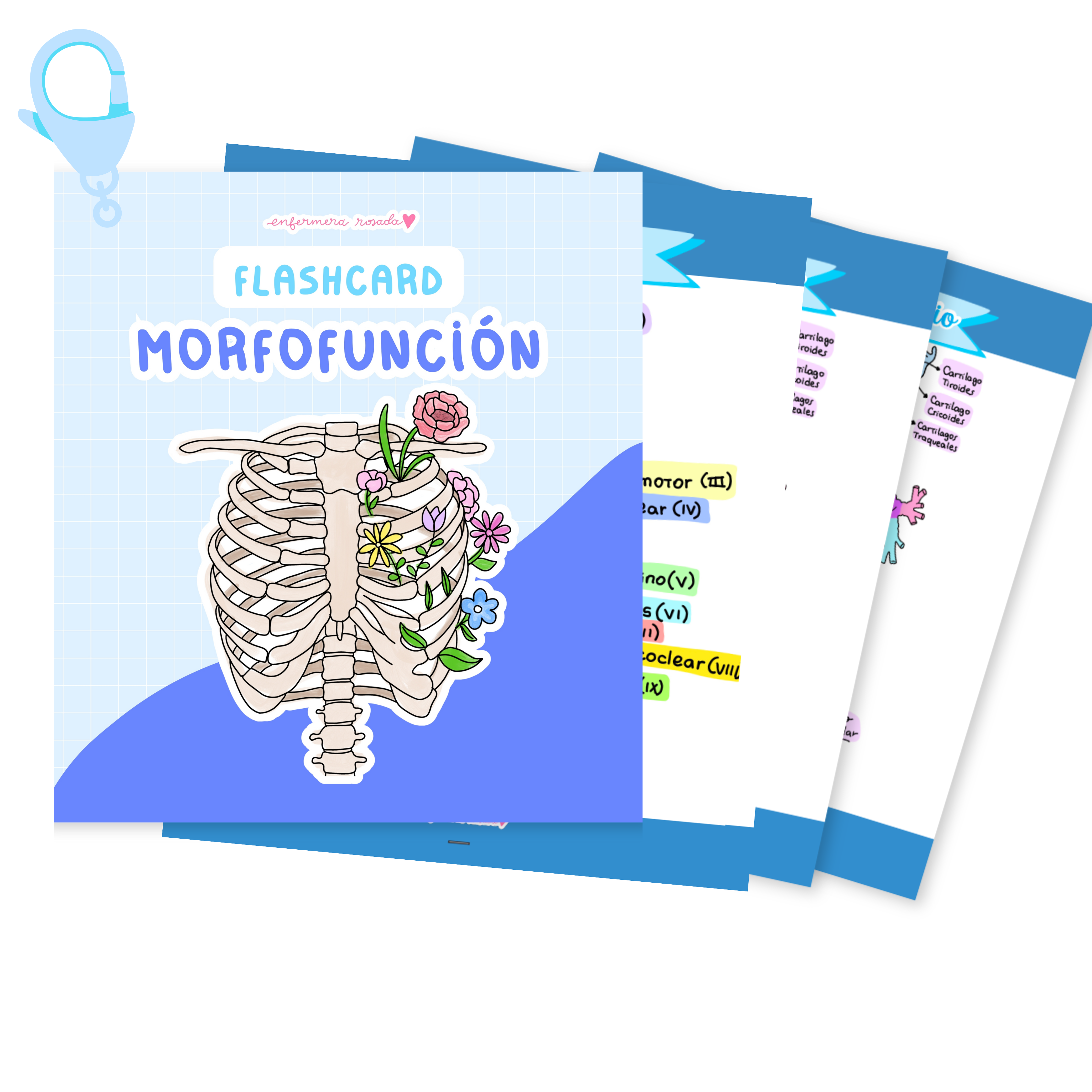 Flashcards Morfofunción — libreta de bolsillo para estudiantes de enfermería | Enfermera Rosada (2)
