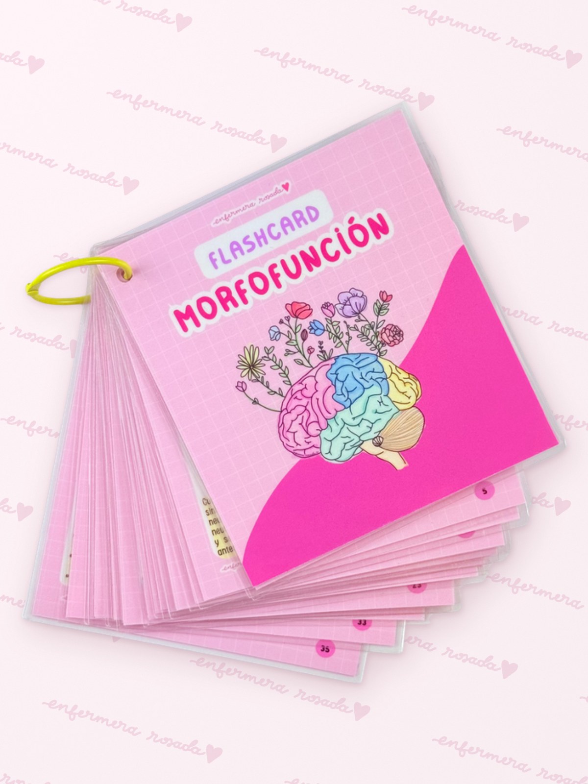 Flashcards Morfofunción
