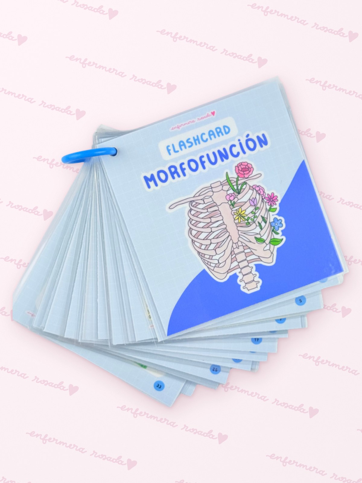 Flashcards Morfofunción — libreta de bolsillo para estudiantes de enfermería | Enfermera Rosada (2)