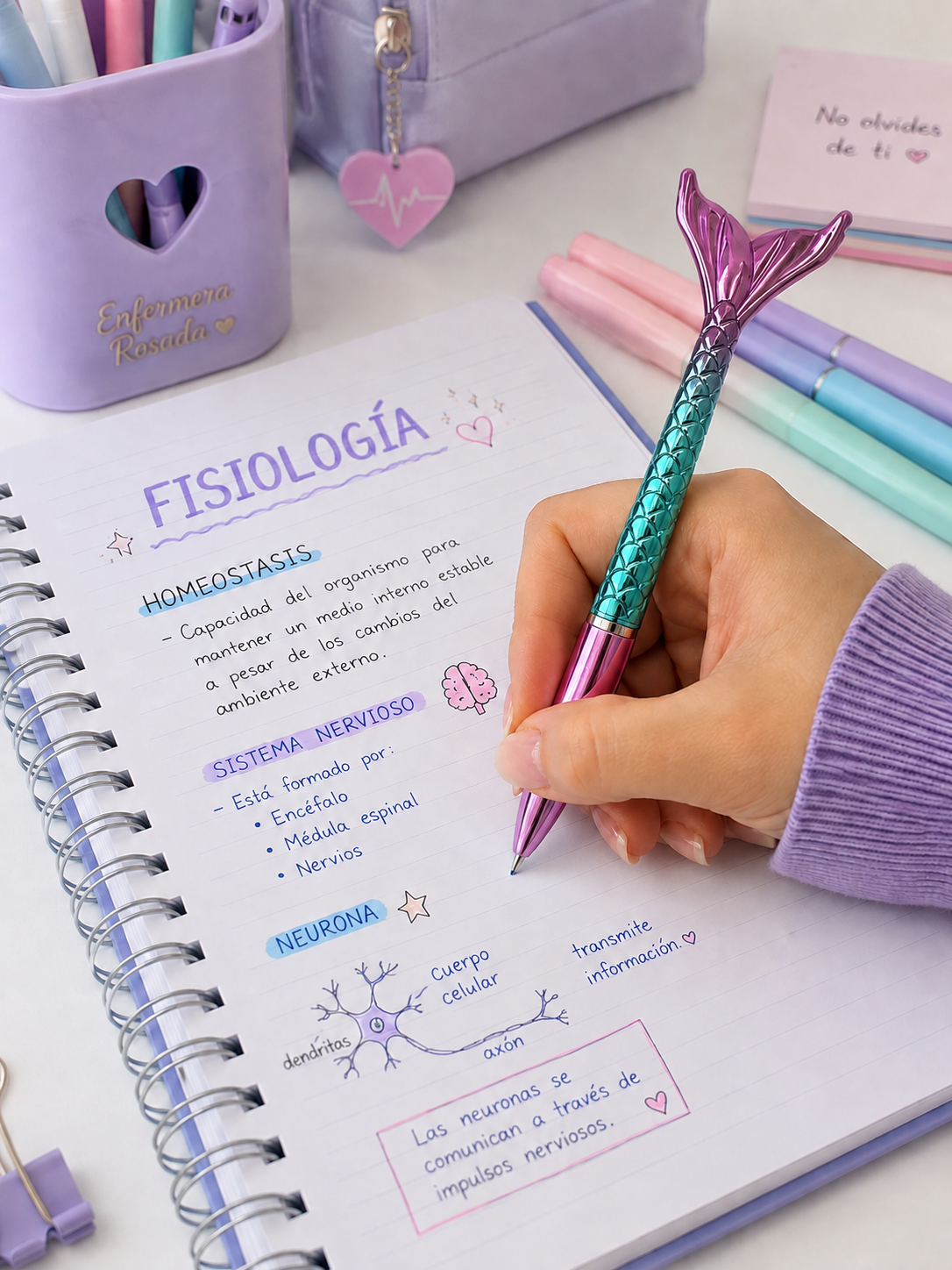 Lápiz Sirena — libreta de bolsillo para estudiantes de enfermería | Enfermera Rosada (1)
