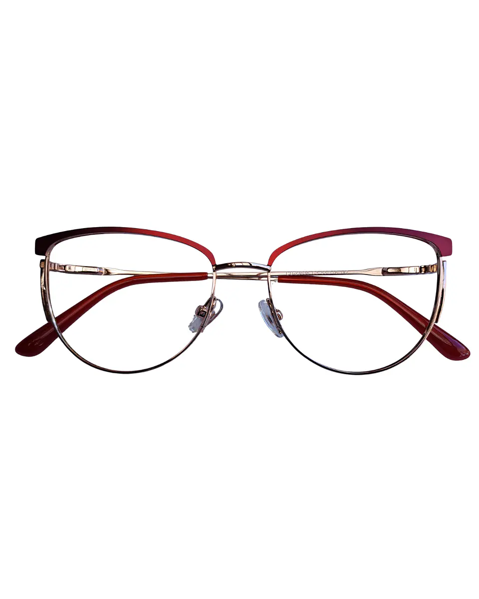 CUORE ARMCU-23036 C4 1