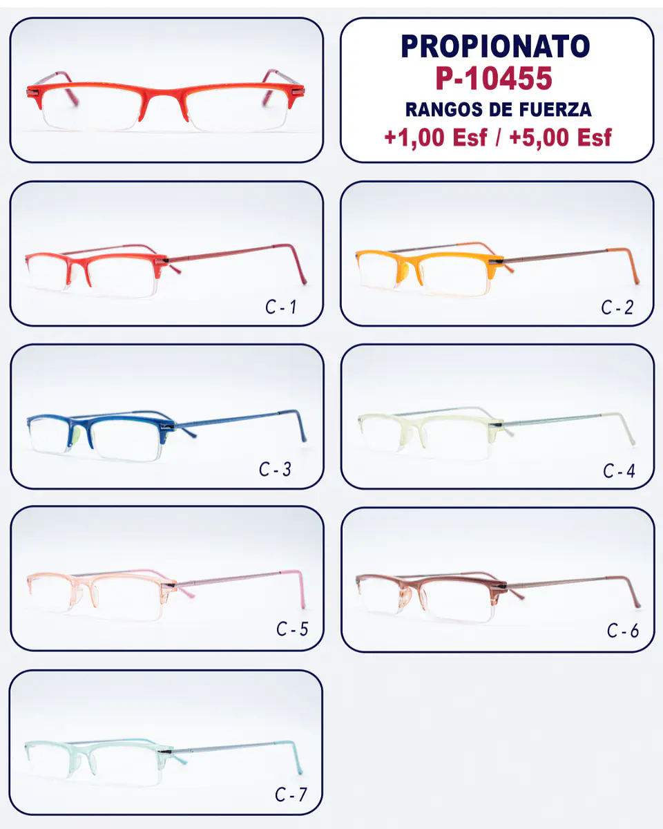 Lente de Lectura P-10455 2