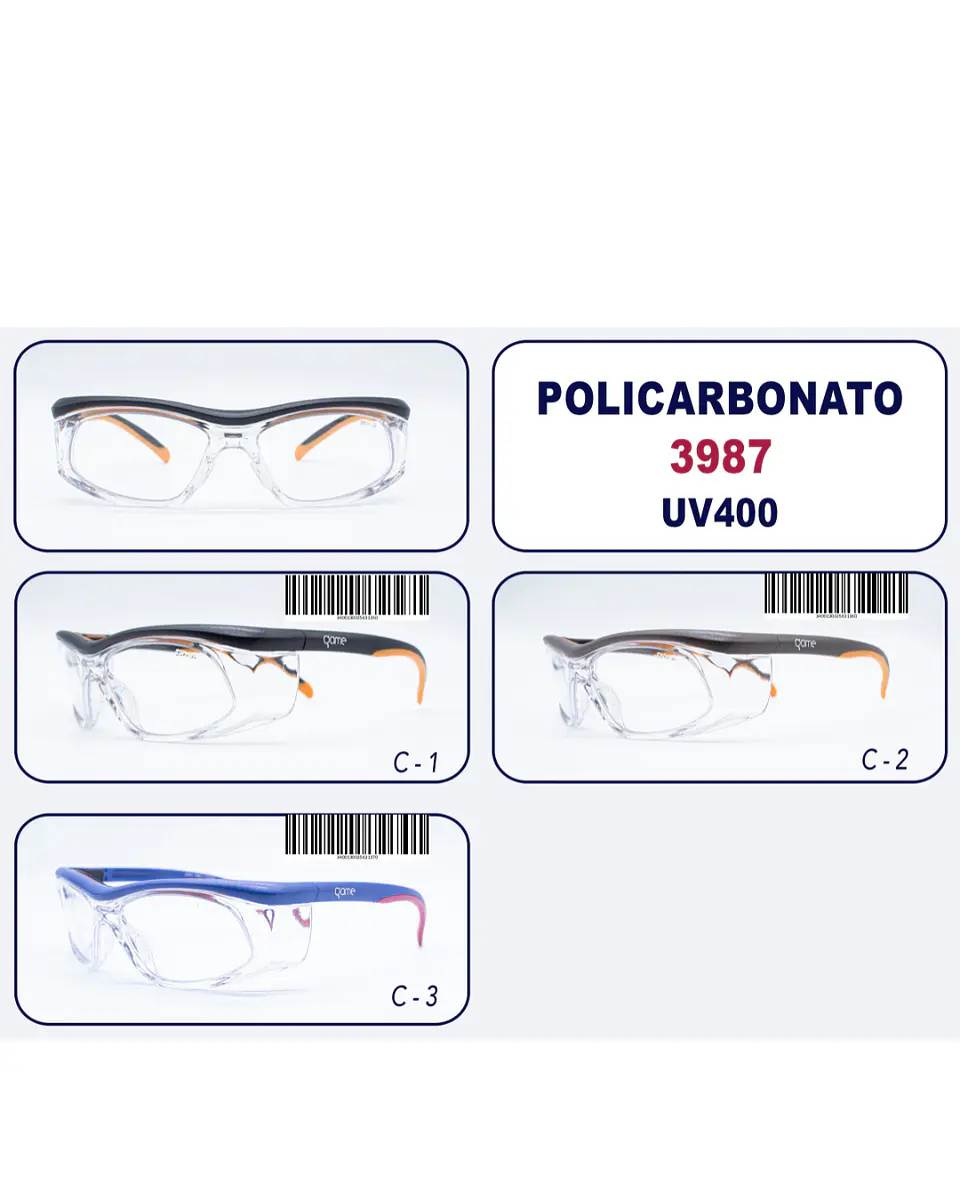 Anteojo de Seguridad Profesional 3987 2