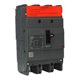Interruptor caja Moldeada 3x125 25kA 415V EasyPact Schneider electric
