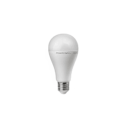 Ampolleta LED 15W  A65 6400W E27 MEGABRIGHT   