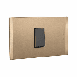 Int 9/24 10A 3víasTerra Antracita armado NOBILE BTICINO                                                                                                                                                 