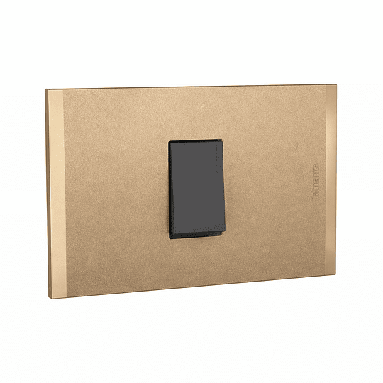 Int 9/12 10A Terra Antracita armado NOBILE BTICINO                                                                                                                                                      