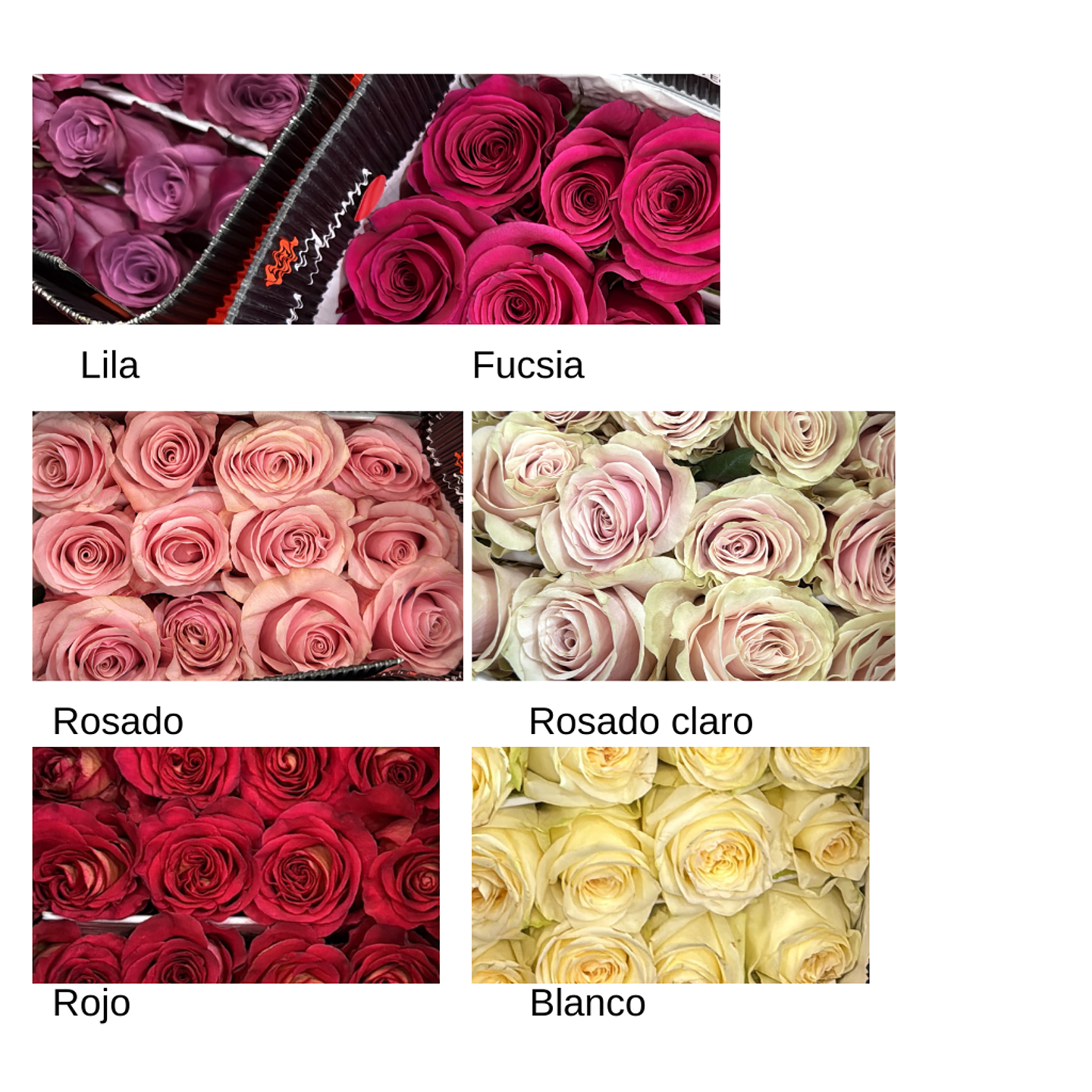 Caja Cilindro 8 Rosas bombones con Globo personalizado 2