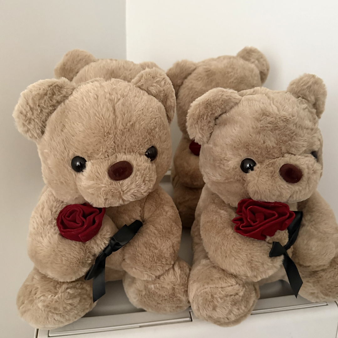 Oso Teddy Racimo Globos Corazón  4