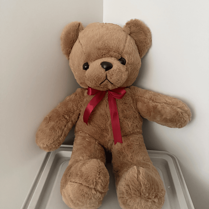 Oso Teddy Racimo Globos Corazón  5