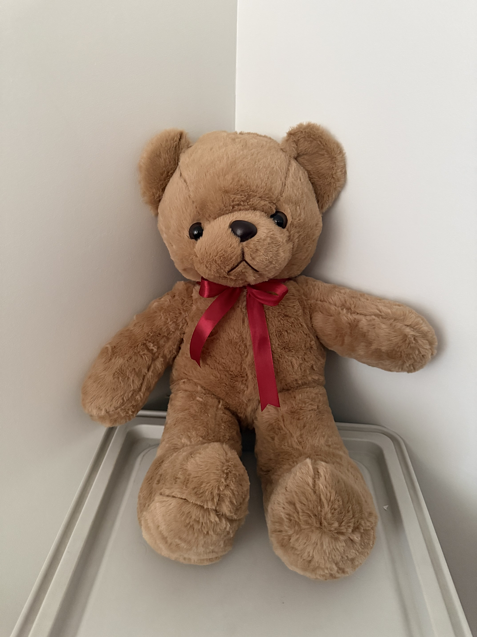 Oso Teddy Racimo Globos Corazón  5