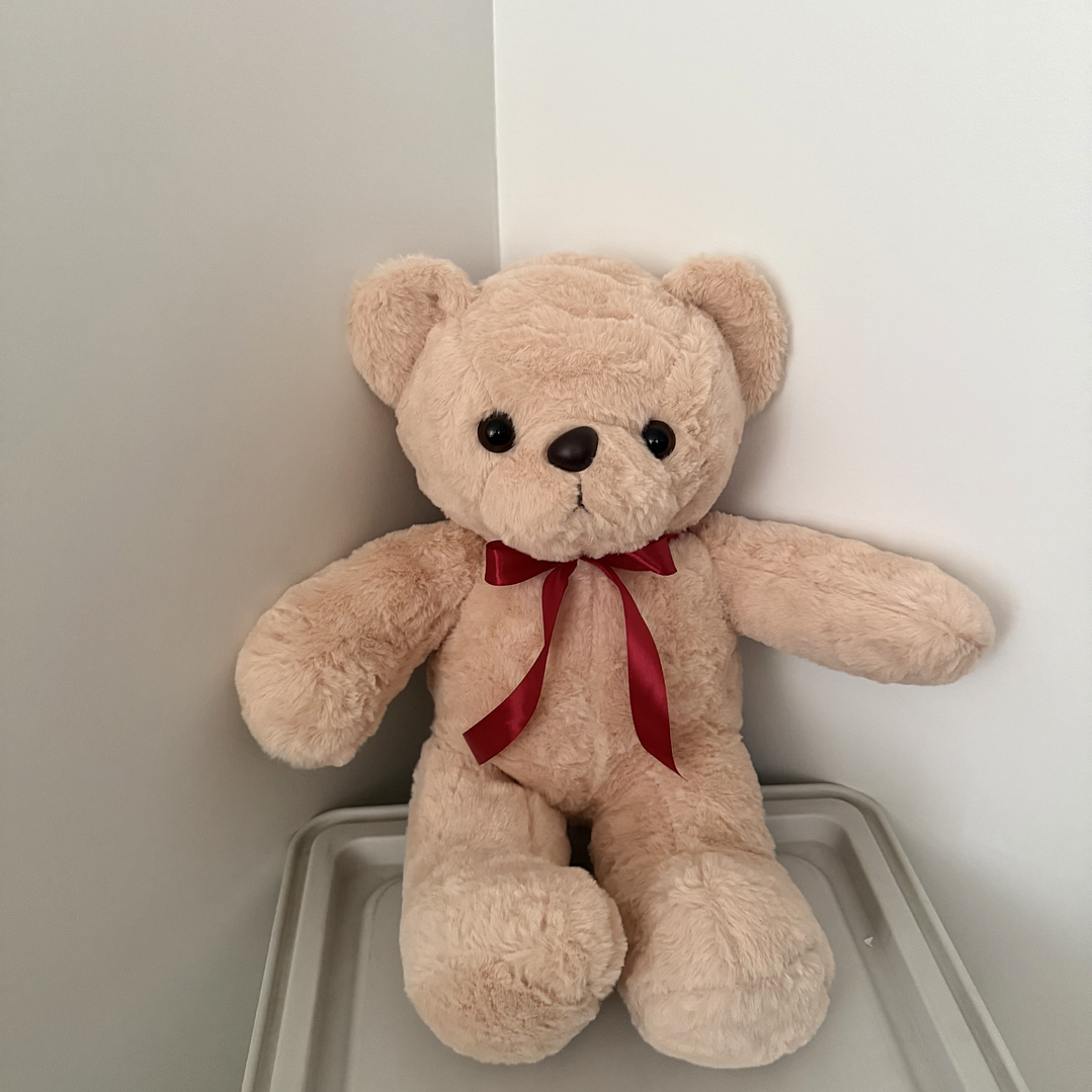 Oso Teddy Racimo Globos Corazón  6