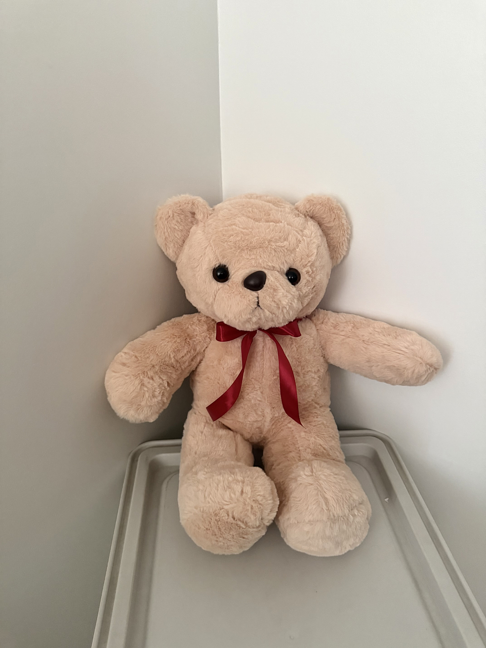 Oso Teddy Racimo Globos Corazón  6