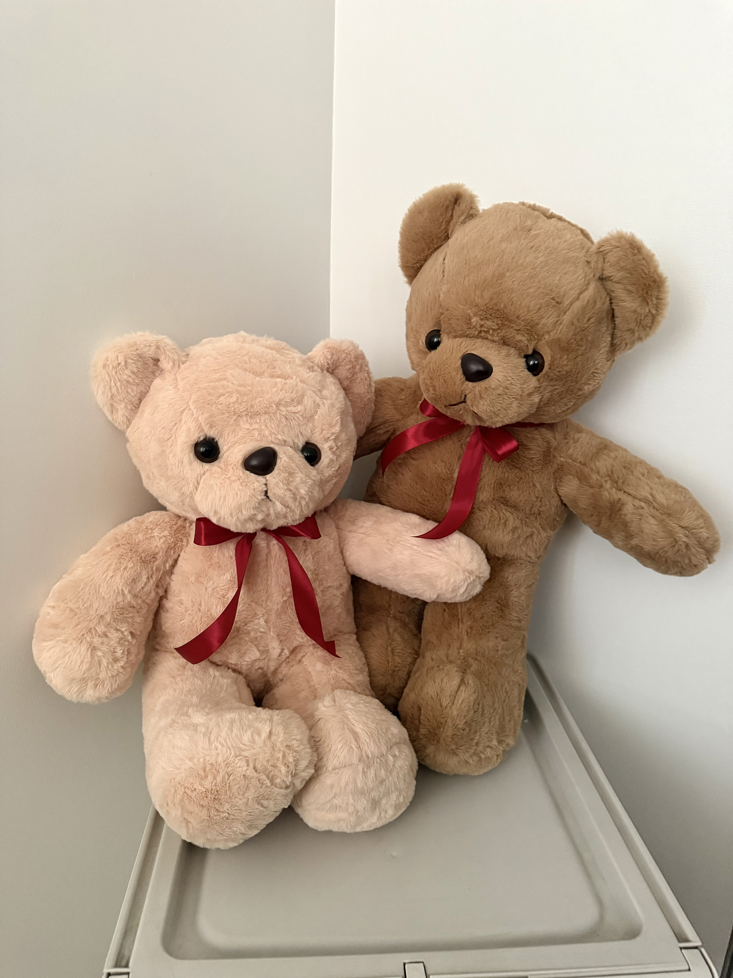 Oso Teddy Racimo Globos Corazón y Cuadro Personalizado 2